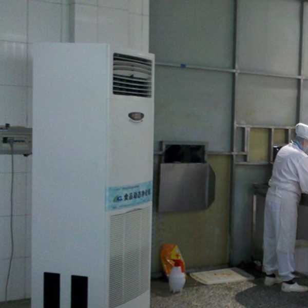 厦门食品正负离子空气杀菌器